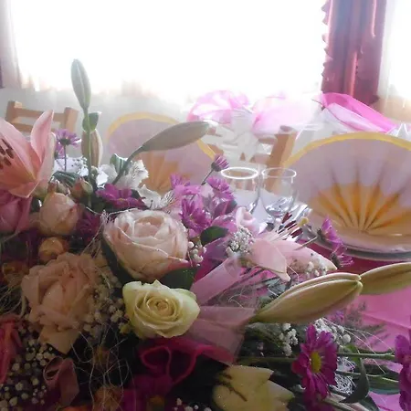 Pansion Komfor Moca 3*