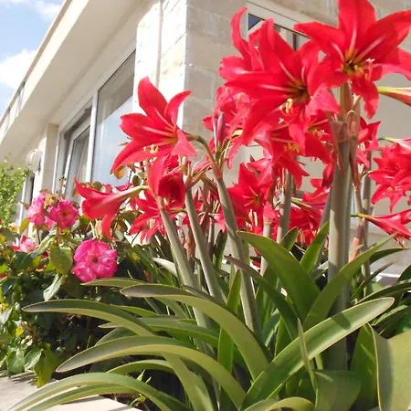 Pansion Komfor Moca Affittacamere Makarska