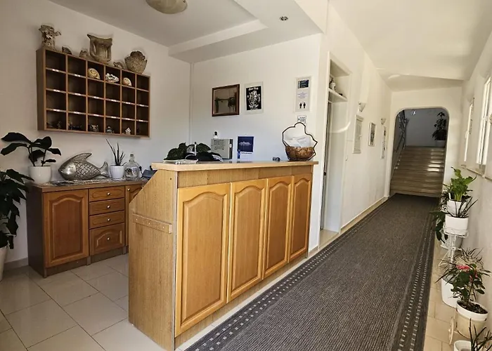 בית הארחה Pansion Komfor Moca