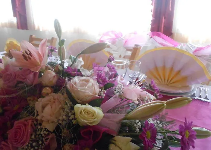 Pansion Komfor Moca 3*